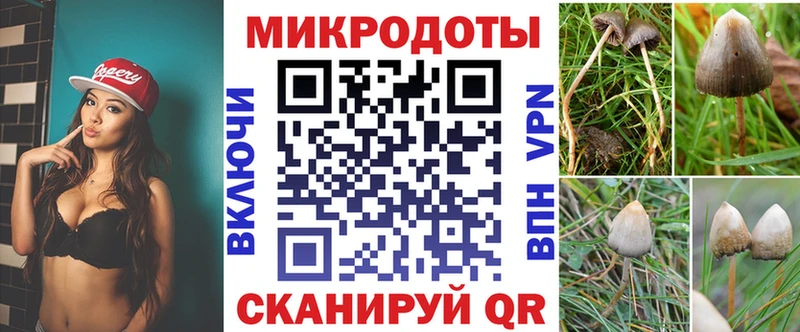 Купить  Беслан  Псилоцибиновые грибы Cubensis 